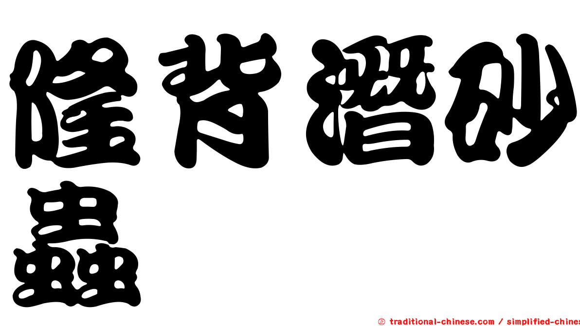 隆背潛砂蟲