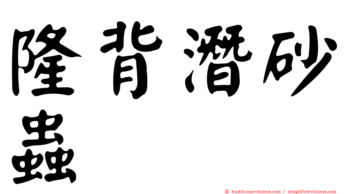 隆背潛砂蟲