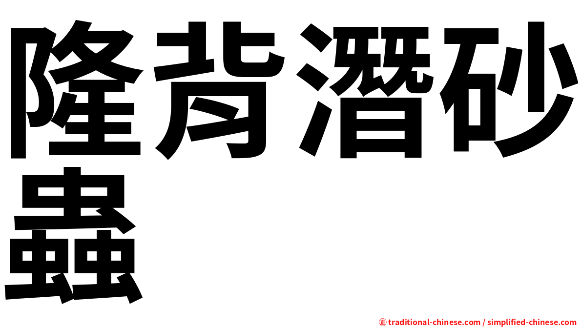 隆背潛砂蟲