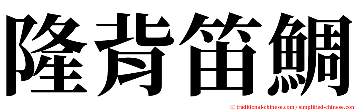 隆背笛鯛 serif font
