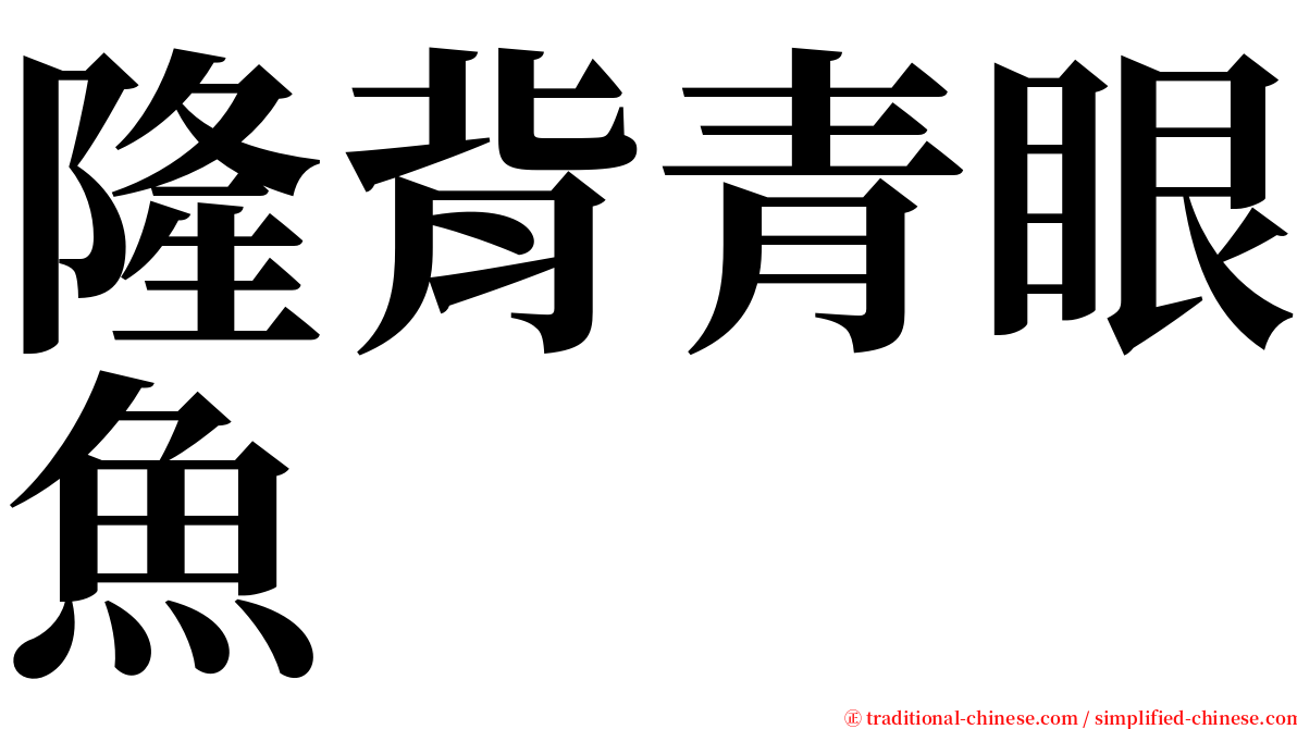 隆背青眼魚 serif font