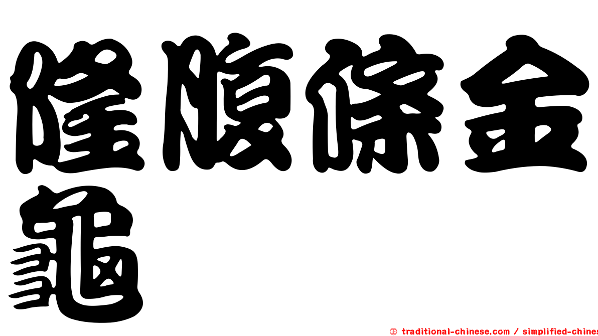 隆腹條金龜