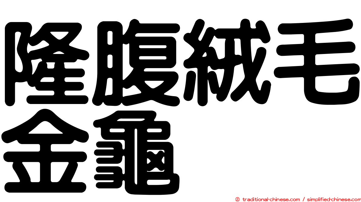 隆腹絨毛金龜