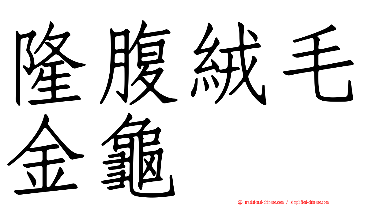 隆腹絨毛金龜