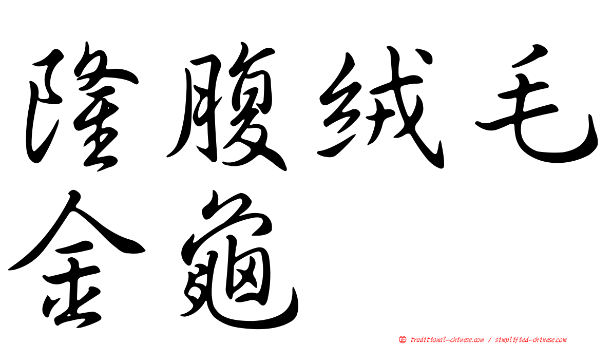 隆腹絨毛金龜