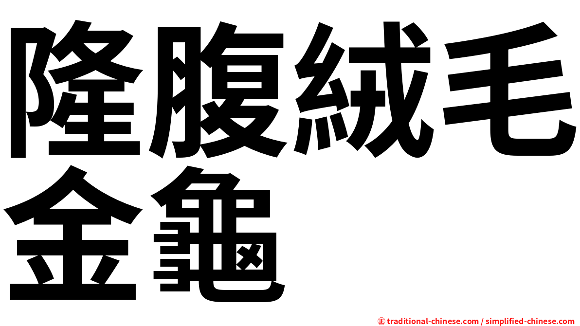 隆腹絨毛金龜