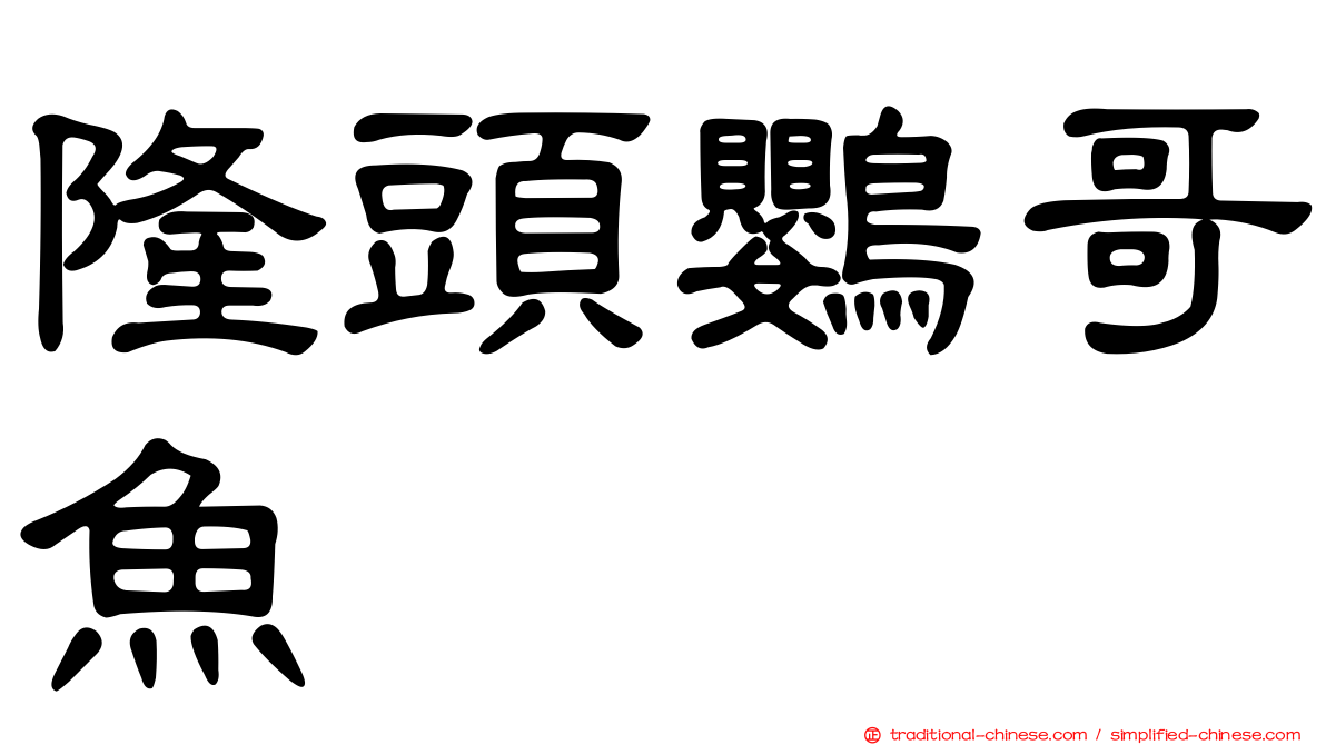 隆頭鸚哥魚