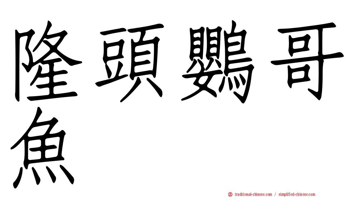 隆頭鸚哥魚