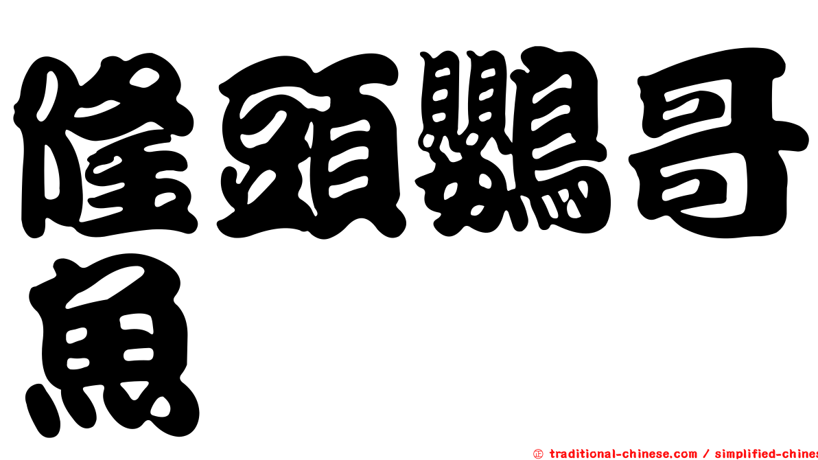 隆頭鸚哥魚