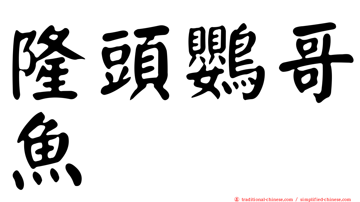 隆頭鸚哥魚