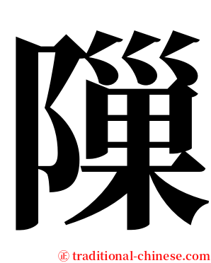 隟 serif font