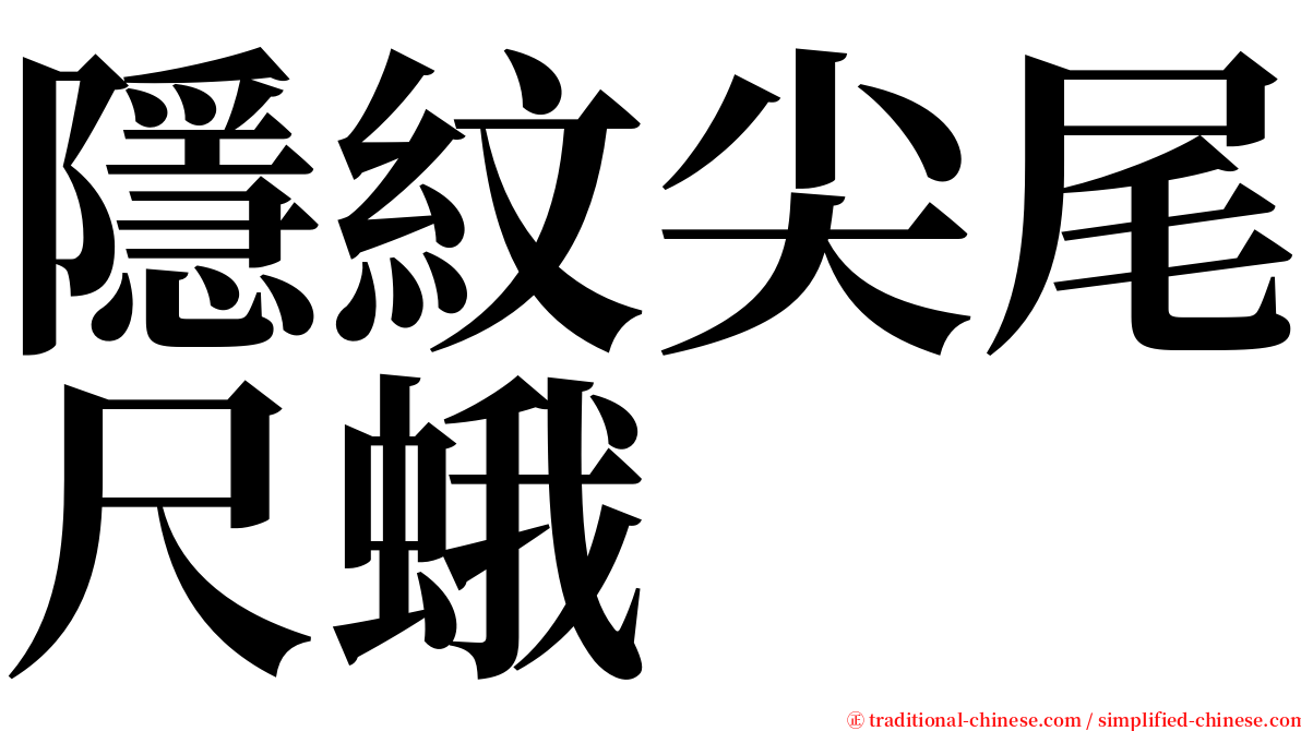 隱紋尖尾尺蛾 serif font
