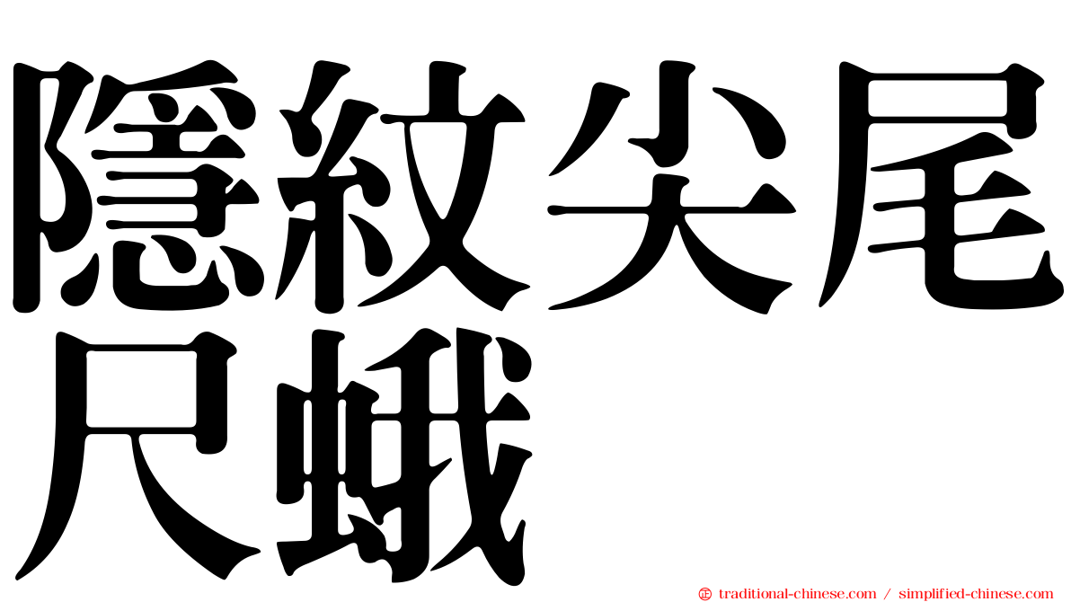 隱紋尖尾尺蛾