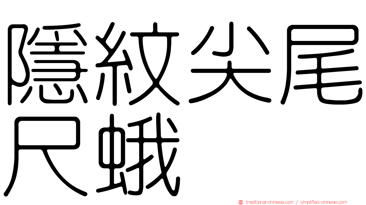 隱紋尖尾尺蛾