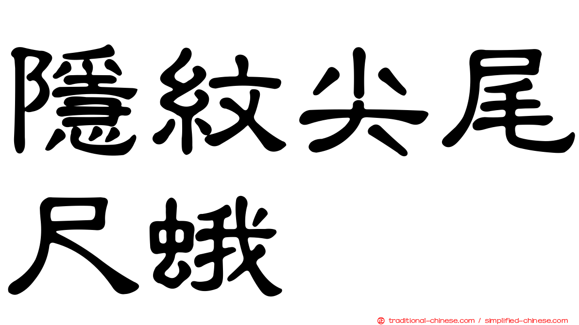 隱紋尖尾尺蛾