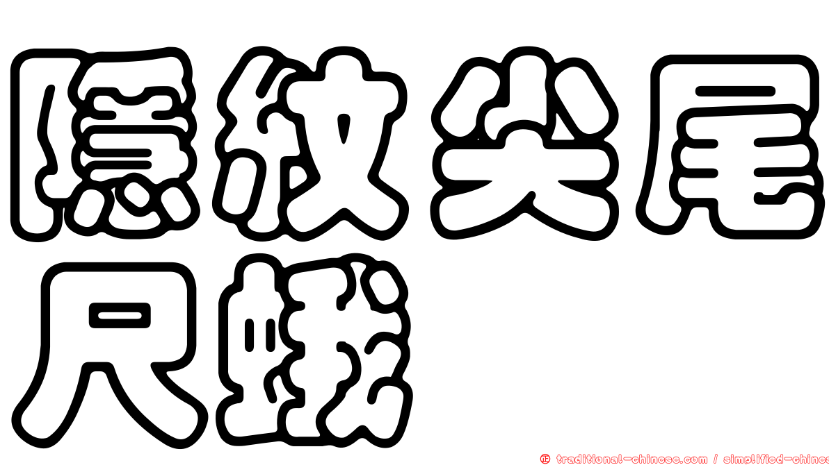 隱紋尖尾尺蛾