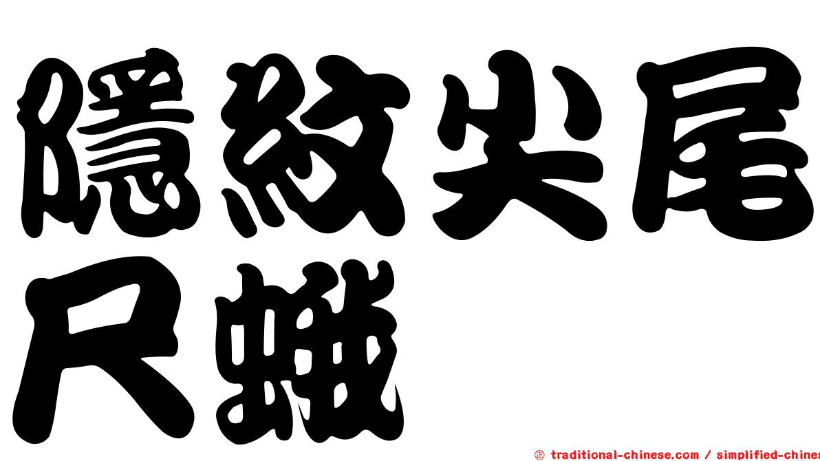 隱紋尖尾尺蛾