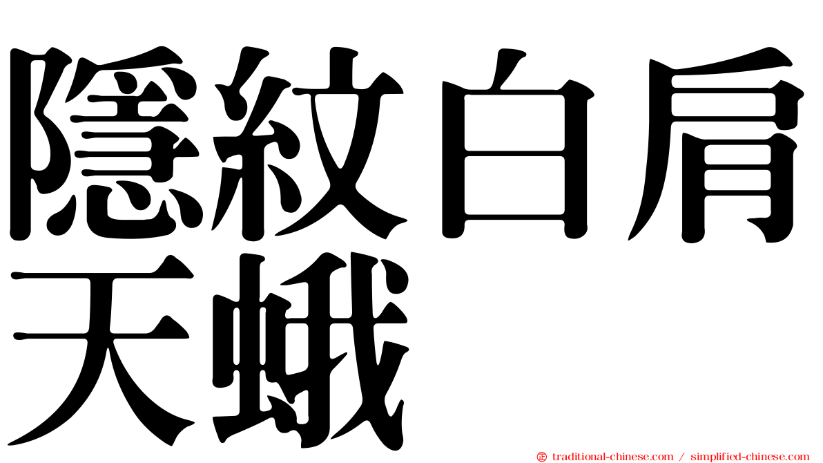 隱紋白肩天蛾
