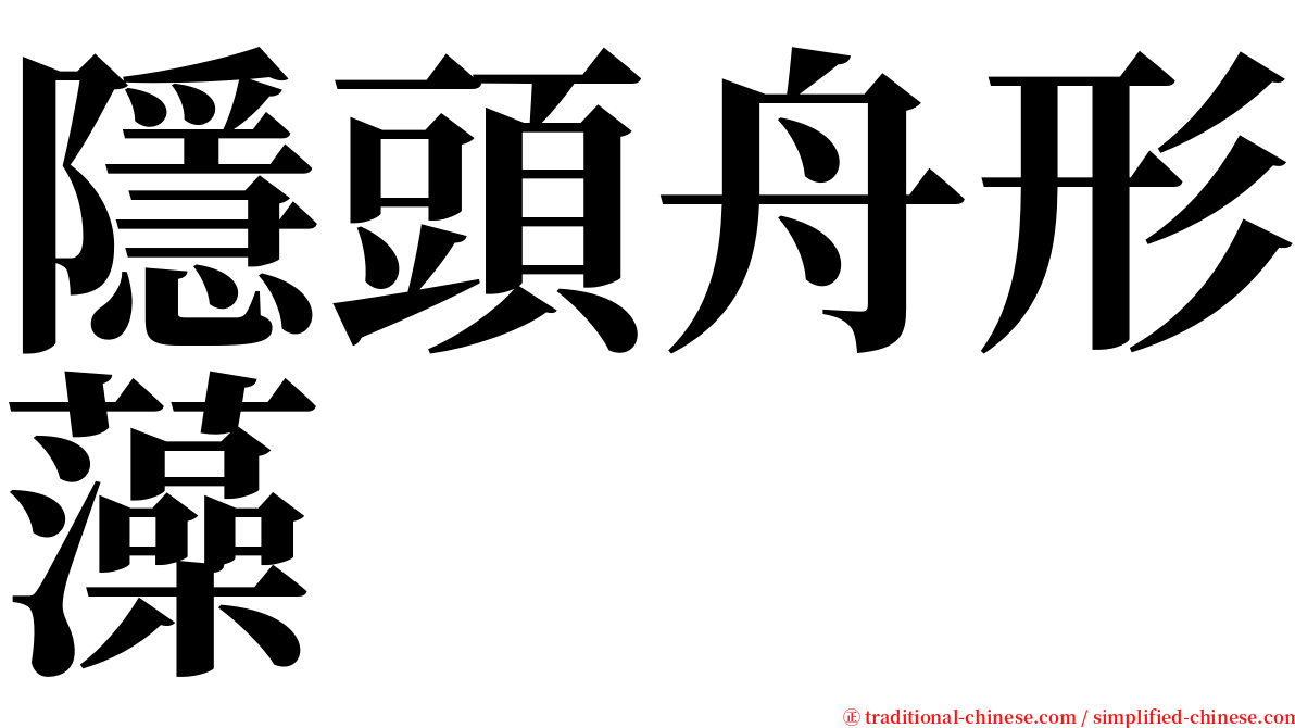 隱頭舟形藻 serif font