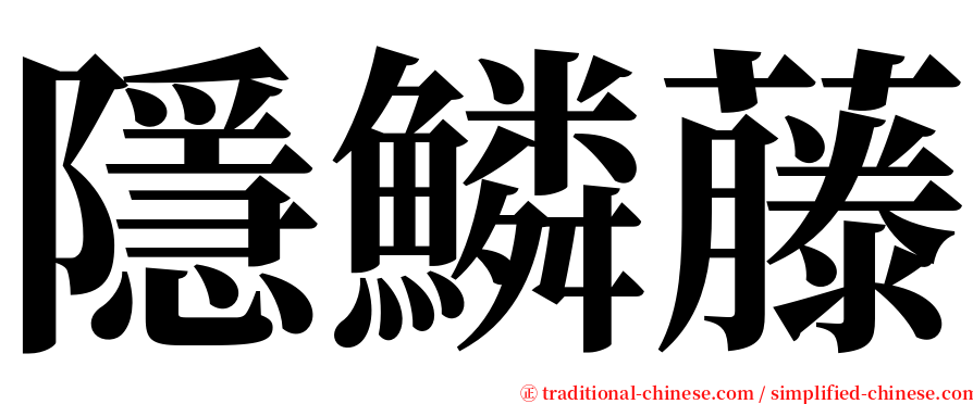 隱鱗藤 serif font