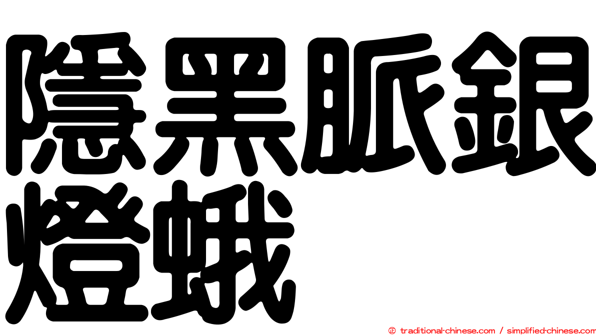 隱黑脈銀燈蛾