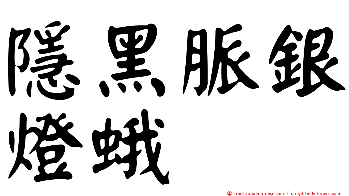 隱黑脈銀燈蛾
