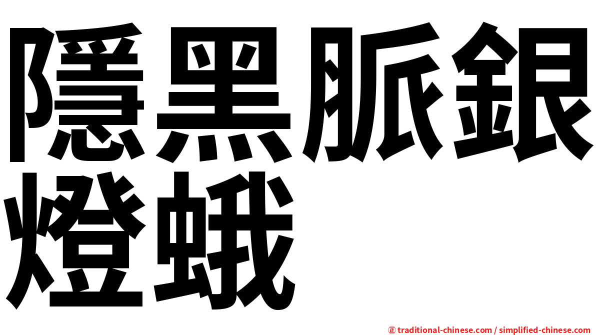 隱黑脈銀燈蛾