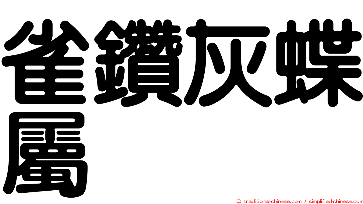 雀鑽灰蝶屬