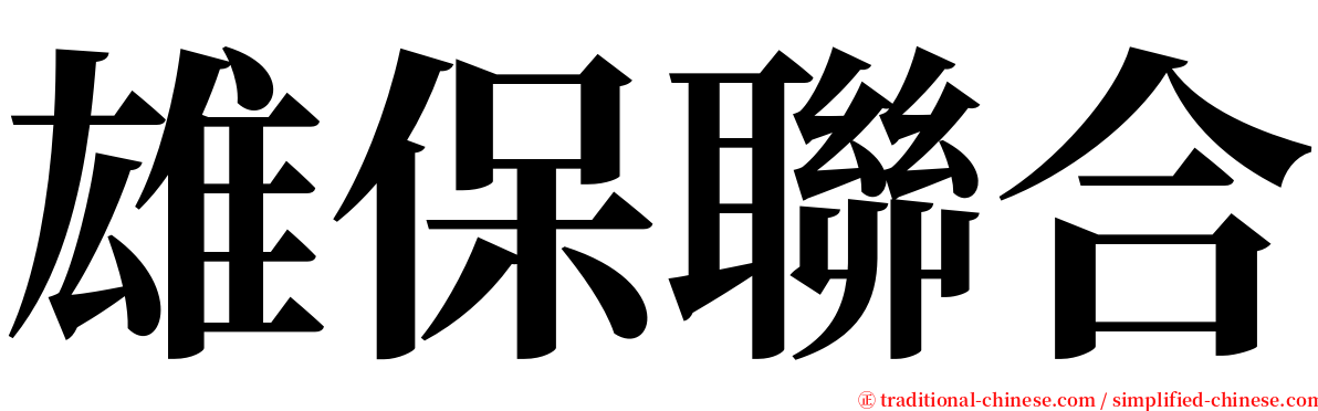 雄保聯合 serif font