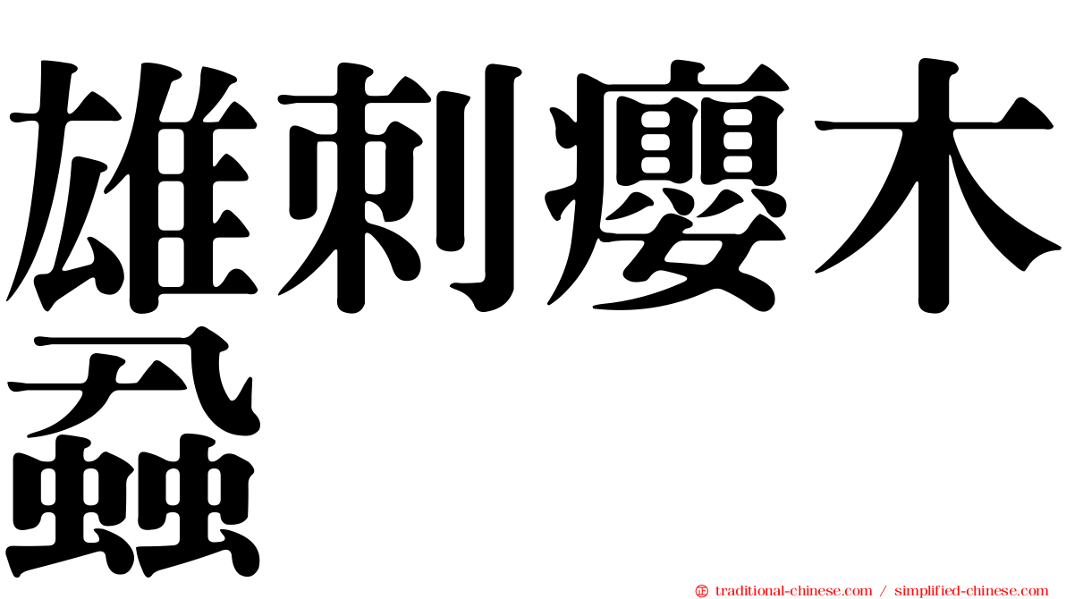 雄刺癭木蝨