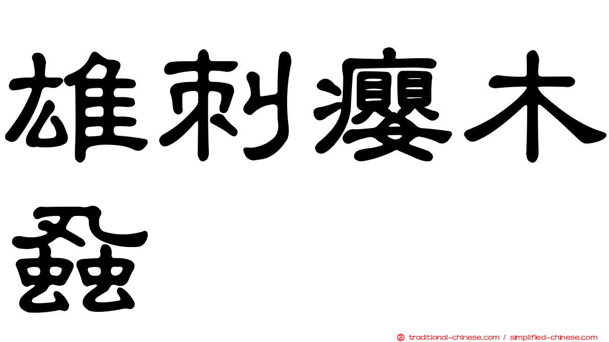 雄刺癭木蝨