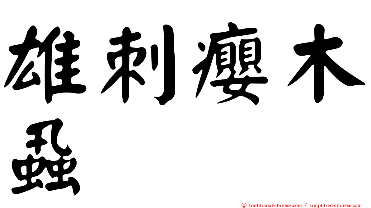 雄刺癭木蝨