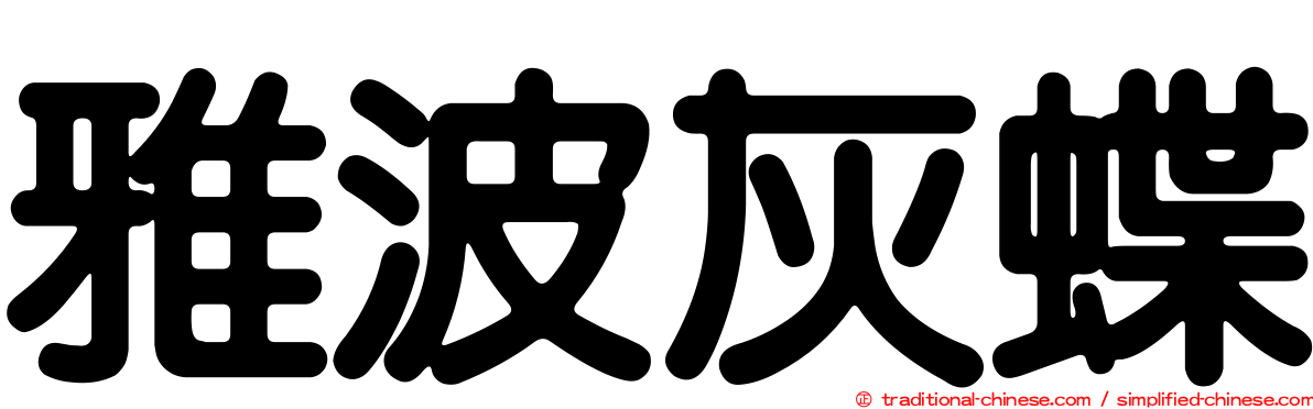 雅波灰蝶