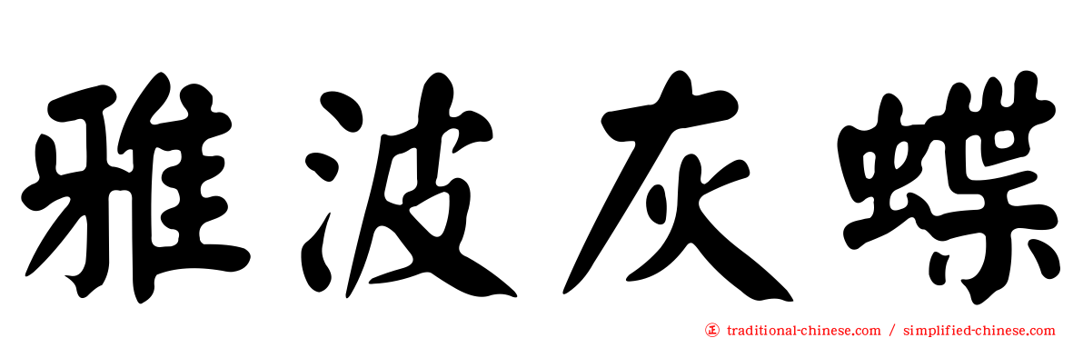 雅波灰蝶