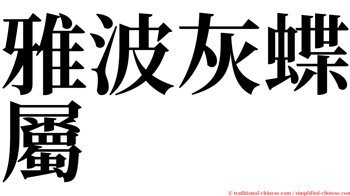雅波灰蝶屬 serif font