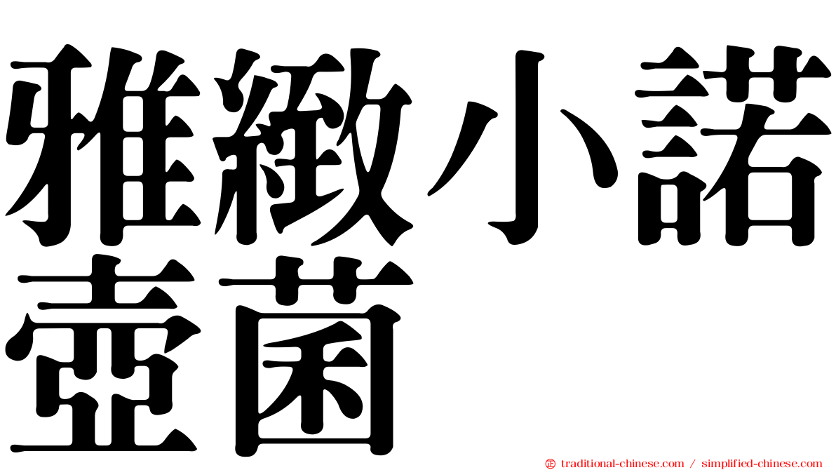 雅緻小諾壺菌