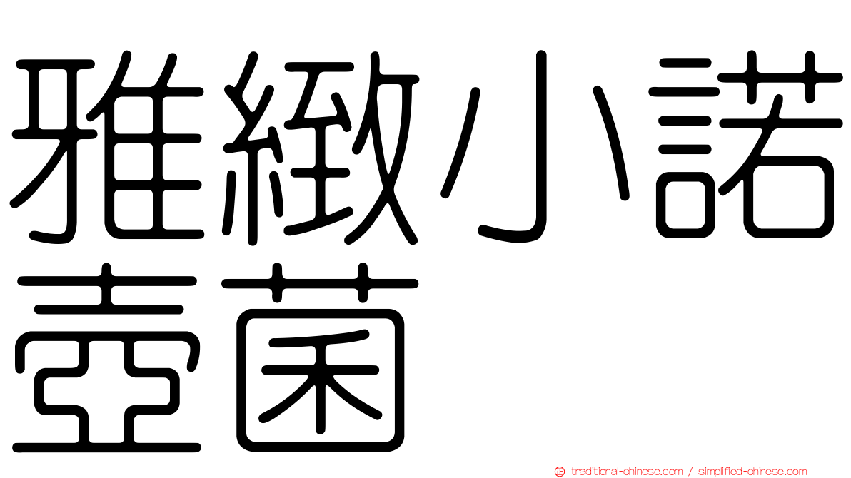 雅緻小諾壺菌