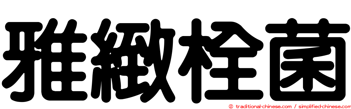 雅緻栓菌