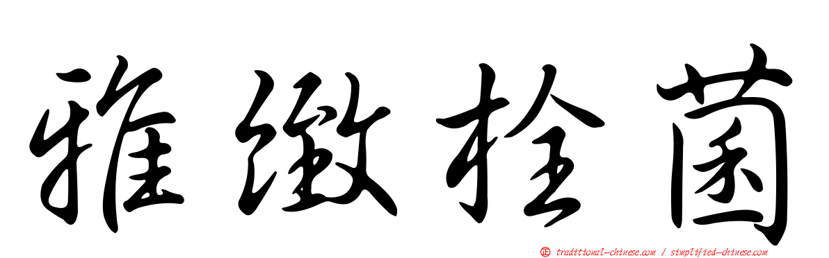 雅緻栓菌