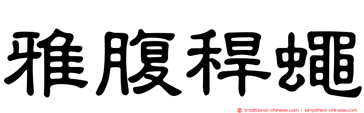 雅腹稈蠅