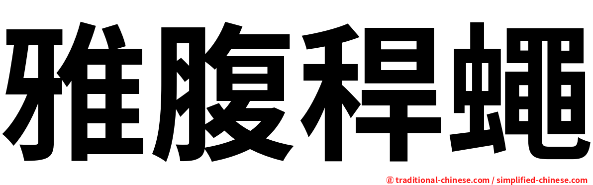 雅腹稈蠅