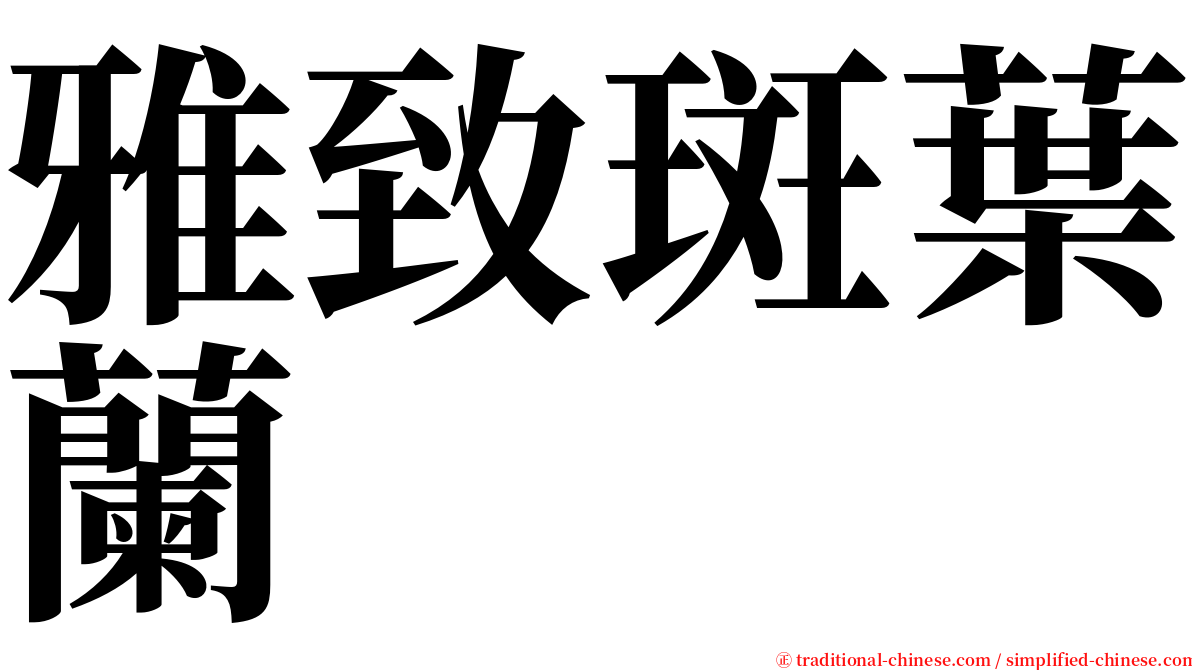 雅致斑葉蘭 serif font