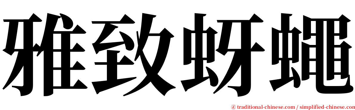 雅致蚜蠅 serif font