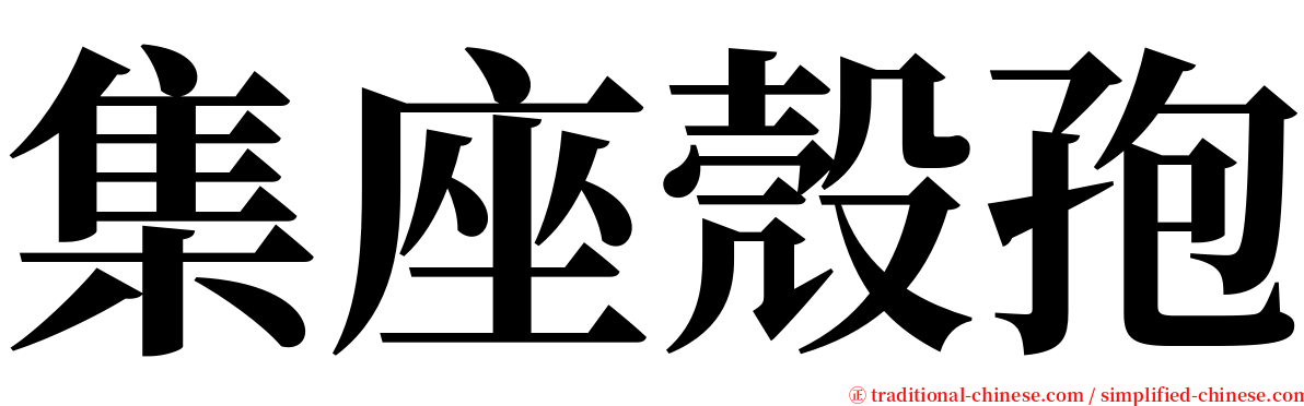 集座殼孢 serif font