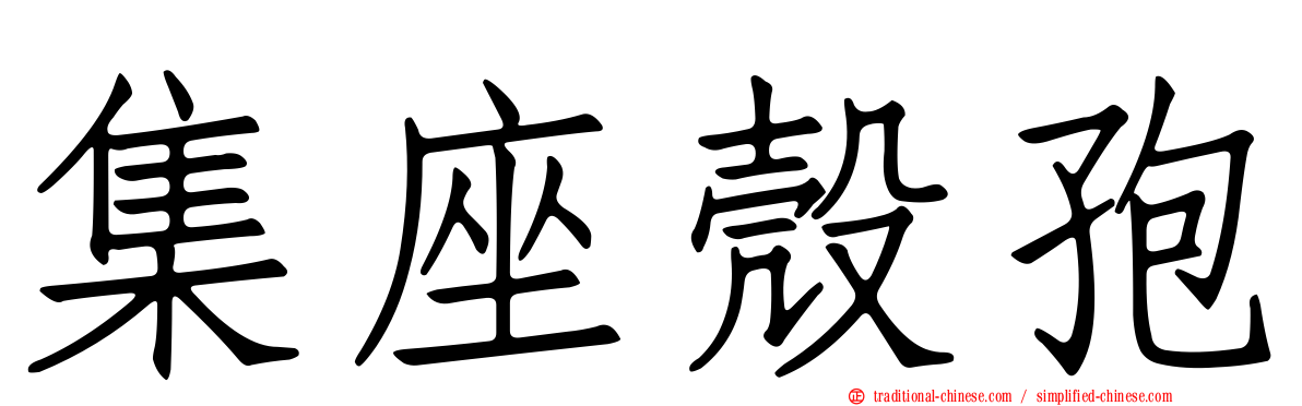 集座殼孢