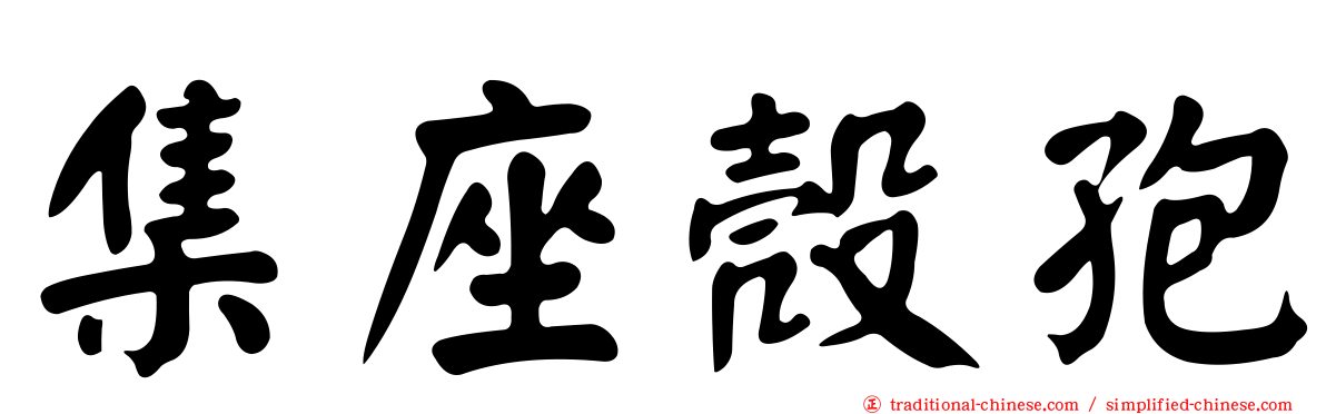 集座殼孢