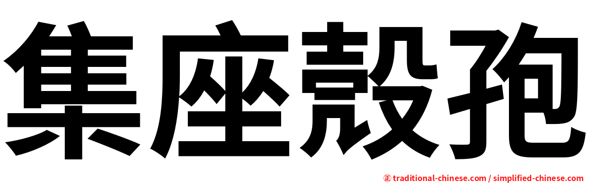 集座殼孢