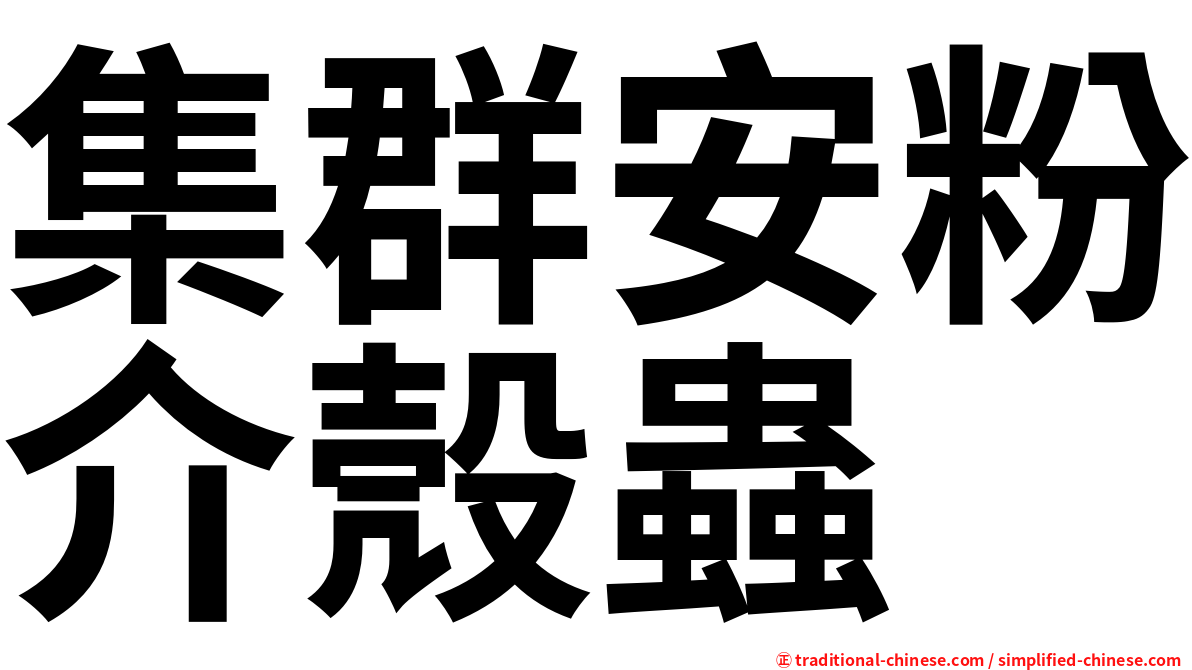 集群安粉介殼蟲