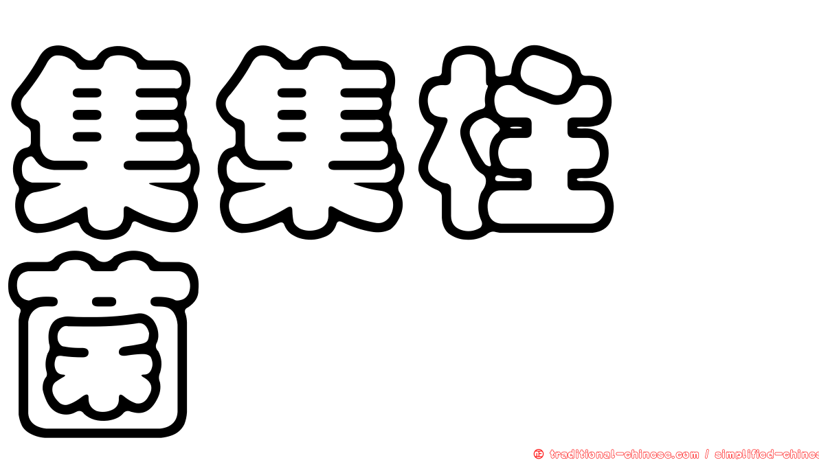 集集柱孢菌