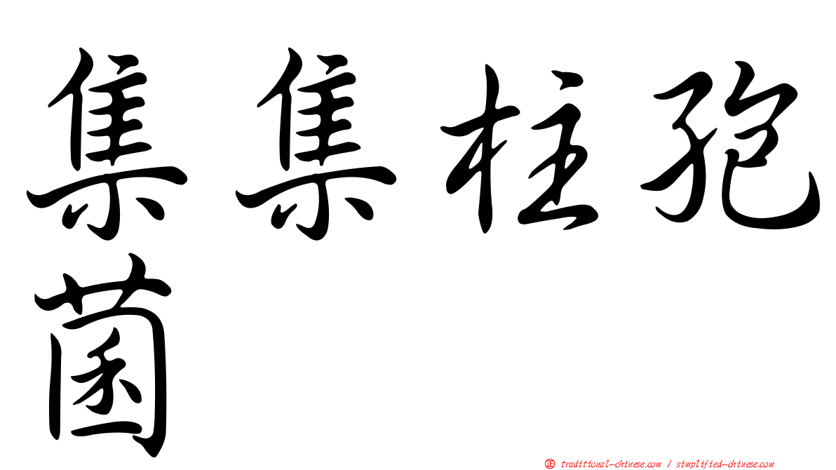 集集柱孢菌